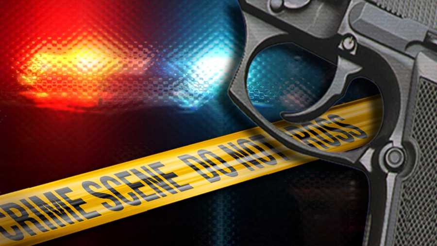 34224916-gun-police-lights-img